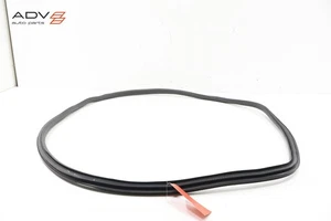 2024 - 2025 TESLA CYBERTRUCK REAR LEFT SIDE DOOR BODY WEATHERSTRIP SEAL OEM - Picture 1 of 4