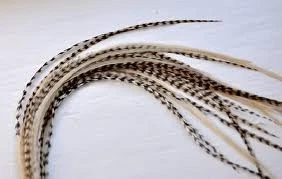 Feather Hair Extension 8 to 13 5 Beautiful Genuine Thin Long Grizzly & Beige Fea - Изображение 1 из 2