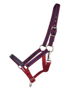 QHP Fohlenhalfter Collection S21 - Bild 1 von 4