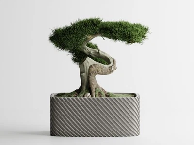  Rectangular Modern Bonsai Planter Indoor Decorative Tree Pot - Image 1 of 4