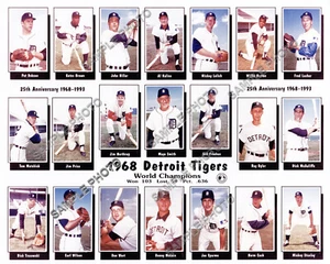 1968 DETROIT TIGERS WORLD SERIES CHAMPIONS BASEBALL TEAM 8x10 PHOTO PICTURE #2 - Picture 1 of 1