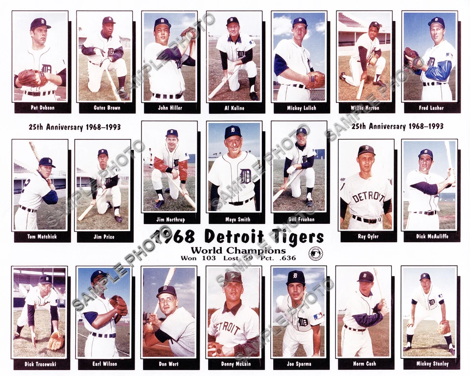 1968 Detroit Tigers Serie Mundial Campeones Equipo de Béisbol 8x10 Foto Imagen #2 Foto 1 de 1