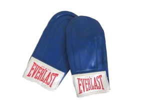Everlast Boxing Gloves Training/Sparing Gloves Made in USA Red-White-Blue - Picture 1 of 9
