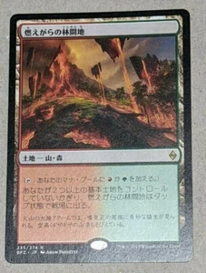 Cinder Glade - Japanese - Battle For Zendikar 235/274 - 2015 MTG Magic Gathering - Picture 1 of 4