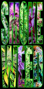 Toalla de playa de baño Smoke Weed Pot MJ 30 x 60 100 % algodón - Imagen 1 de 1