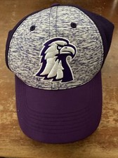 Tennessee Tech Golden Eagles Baseball Hat