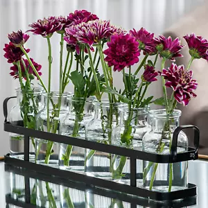 6Pc Glass Flower Vase with Metal Holder, Best Vases for Flowers, Set for Home De - Picture 1 of 12