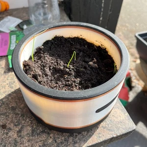 Subnautica Basic Plant Plant Pot - 3D Printed - Picture 1 of 11