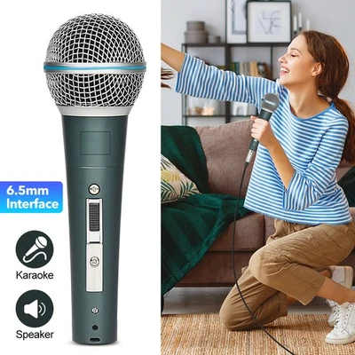 Dynamisches Profi Metall Mikrofon Tragbar Microfon + 9,8’‘ 6,35mm Kabel für KTV - Bild 1 von 4