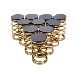 10 - PACK GENUINE OEM ECHO SPRING AND CAP V494000840 + V450001880 - Picture 1 of 15