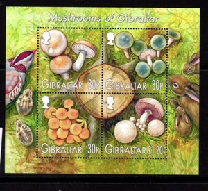 GIBILTERRA FUNGHI MUSHROOM PILZEN RIF 36 - Imagen 1 de 1