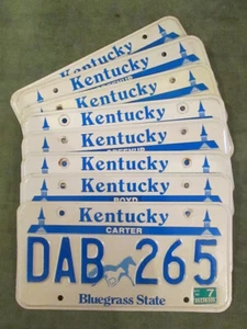 BELLA TARGA Kentucky anni '90 cavallo stato erba blu per collezione statale 50 - Foto 1 di 1