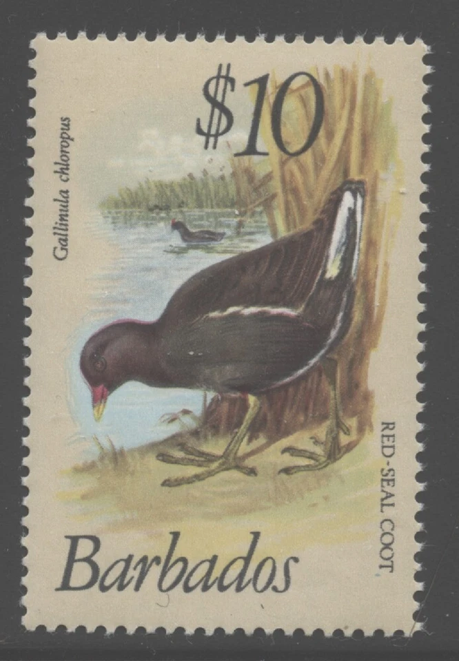 巴巴多斯 1979 年 10 美元红印 Coot Sc# 511 NH — 第 1/1 张图片