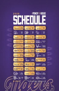 LSU Tigers Baseball 2026 Spielplan Poster 11 x 17 Zoll LSU Tigers Baseball - Bild 1 von 3