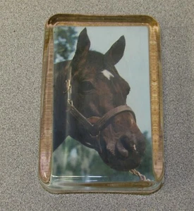 Rough N Tumble 1951 Santa Anita Derby Winner Glass Paperweight Horse Racing - Picture 1 of 2