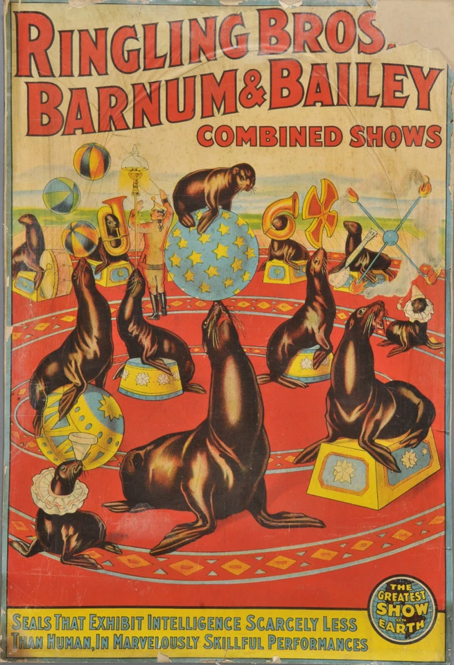 Circus Poster 13"x19" Ringling Bros and Barnum and Bailey Combined Shows Seals - Image 1 of 1