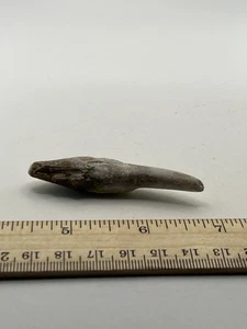 PAPPOCETUS RARE 44 Mi Yrs 2.5” SC 308 - Picture 1 of 5