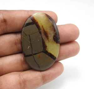 Cabujón de jaspe septario natural de 65,00 quilates hecho a mano cabinas de piedras preciosas 30x45x5 mm - Imagen 1 de 7