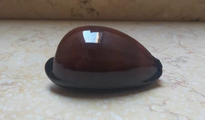 F cypraea exusta dark very rare red sea shell natural glossy 68.5mm F++++ F+++ - Picture 1 of 13