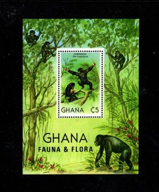 Ghana 788  MNH Sheet Chimpanzees  Wild Animals   COMPARE - Image 1 of 1
