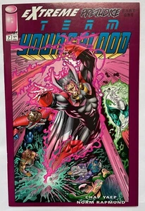 TEAM YOUNGBLOOD #7 (Image Comics, 1994) Rob Liefeld VF/NM - Picture 1 of 8