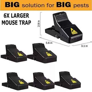 6 Pack Mouse Traps Rat Mice Killer Snap Trap Power Rodent Heavy Duty Pest Trap - Picture 1 of 9