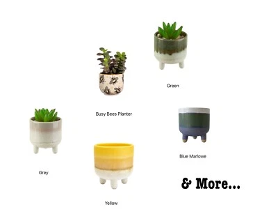 Sass and Belle Bohemian Home Planter Garden Gift New - Image 1 of 2