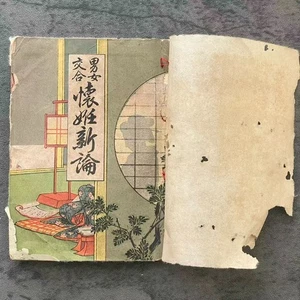 RARE Antique Meiji Japan Woodblock Cover Book Danjo Kōai Seisei Shinron 男女交会惺惺新論 - Picture 1 of 10