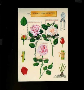 France Yvert No 3248-3250 BF24 1999 - Picture 1 of 1