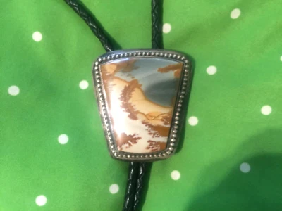 Corbata Bolo vintage plata esterlina Owyhee Picture Jaspe piedra correa de cuero Foto 1 de 4