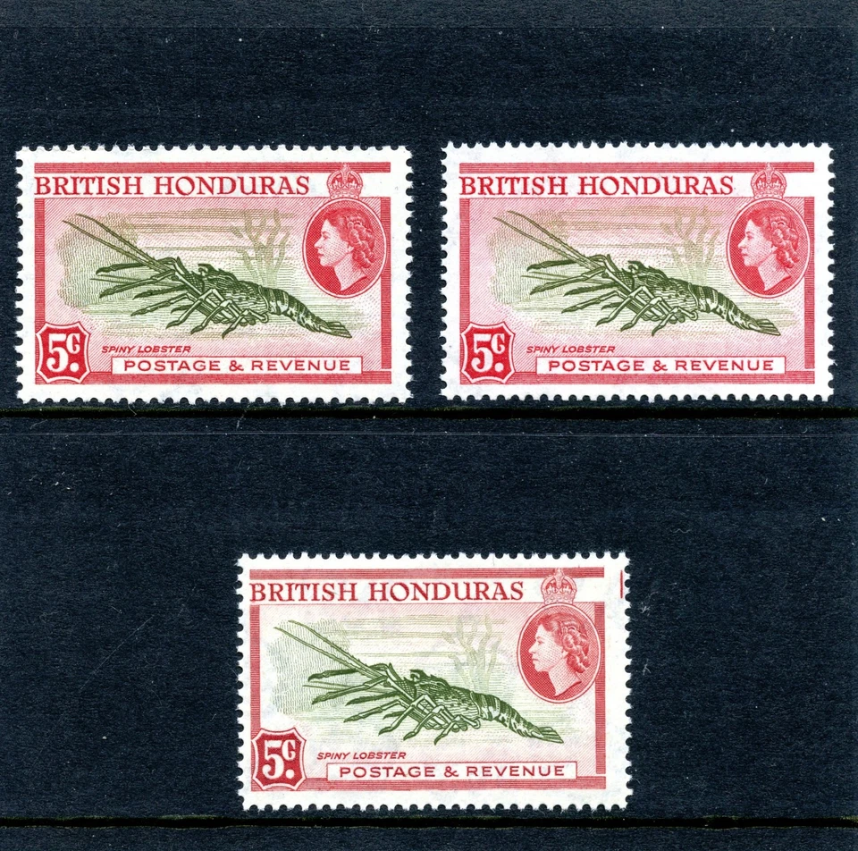 Honduras Británica 1953 QEII 5c en las 3 impresiones listadas MNH. SG 183, 183a, 183ab Foto 1 de 1