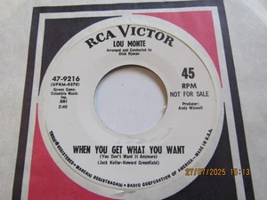 DEMO PROMO-LOU MONTE-WHEN YOU GET WHAT YOU WANT-RCA - Picture 1 of 2