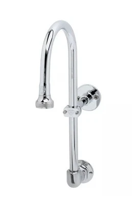 T&S Latón B-2456-W - Salida remota de spray de rosas Cuello de cisne con soporte de pared Foto 1 de 3