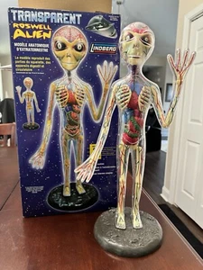 Lindberg Transparent Roswell Alien Anatomy 19" Model Kit - Picture 1 of 14