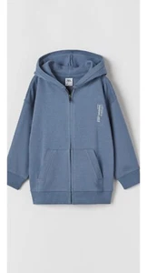 Baumwoll Sweatshirt für Jungen 164 cm, Zara - Bild 1 von 5