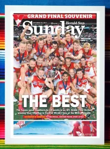 Framed 2012 SYDNEY SWANS AFL Premiers Poster - 62cm x 44.5cm x 3cm - Picture 1 of 3