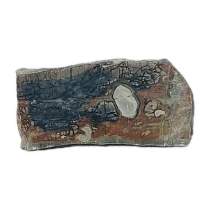 ~ 0,9" Dicke POLIERTE GESICHT PICASSO MARMORPLATTE ~ 789 g/1,74 Pfund/Ausstellung raues Fahrerhaus - Bild 1 von 14