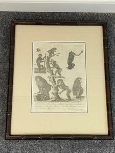 Antique 1797 Original Print Encyclopedia Britannica SIMIAE Baboons Andrew Bell - Picture 1 of 7