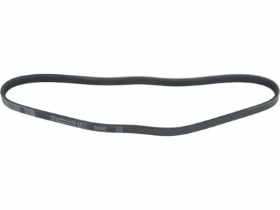 Para 1995-1997 Geo Metro Multi Rib Cinturón Dirección Asistida API 99725NF 1996 Foto 1 de 2