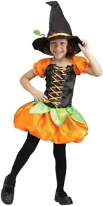 “Pumpkin Patch Witch” Toddler Costume (NEW)--FREE SHIPPING - Picture 1 of 5