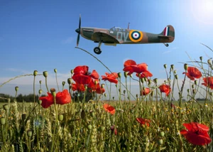 Campo de amapola Spitfire Mk1a N3200 QV, impresión en lona varios tamaños envío gratuito - Imagen 1 de 1