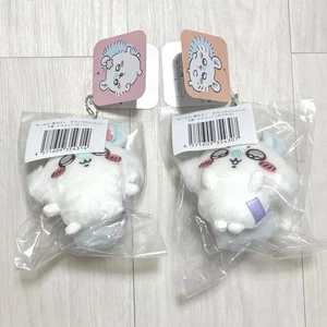 E Prize: Lots of Flying Squirrels Lottery - Picture 1 of 1