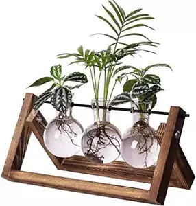 Plant Propagation Stations Terrarium Glass Desktop Planter with Retro Wooden Sta - Picture 1 of 9