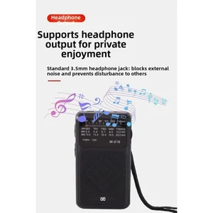 Compact Weather Radio with AM FM SW Bands and 1200mAh Rechargeable Battery - Picture 1 of 17