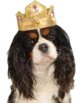 Tiara con Piedras Princesa Reina Halloween Mascota Perro Gato Disfraz Accesorio 2 COLORES Foto 1 de 2