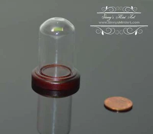 Miniature Glass Dome Display on Wood Base BD SC020 - Picture 1 of 2