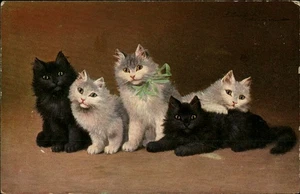 Vintage Cats Postcard - Cute Kittens - York, PA - T.S.N. Series - Picture 1 of 2