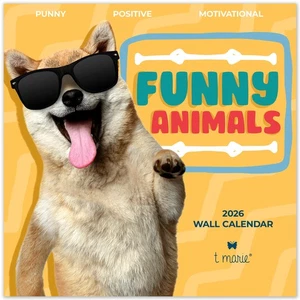 2026 Funny Punny Wall Calendar - Monthly 12” x 12” Motivational Calendar with... - Foto 1 di 6