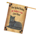 Spoiled Rotten Chartreux Cat Polyester Double Sided Decorative House Flag