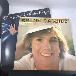Shaun Cassidy Self-Titled & Under Wraps Vinyl Records Set 2 Warner Bros Records - Foto 1 di 12
